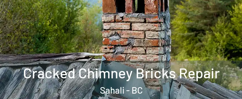  Cracked Chimney Bricks Repair Sahali - BC