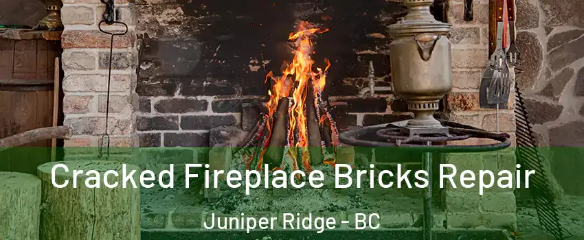  Cracked Fireplace Bricks Repair Juniper Ridge - BC
