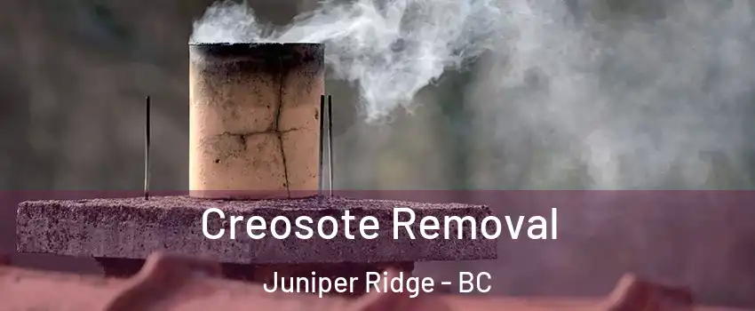  Creosote Removal Juniper Ridge - BC