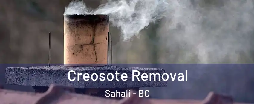  Creosote Removal Sahali - BC