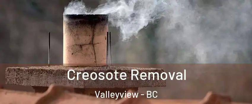  Creosote Removal Valleyview - BC