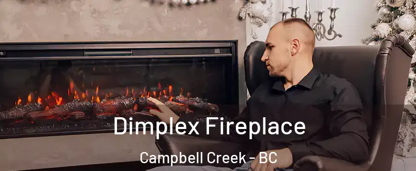  Dimplex Fireplace Campbell Creek - BC