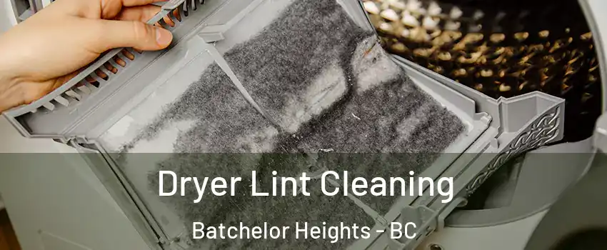  Dryer Lint Cleaning Batchelor Heights - BC