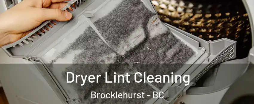  Dryer Lint Cleaning Brocklehurst - BC