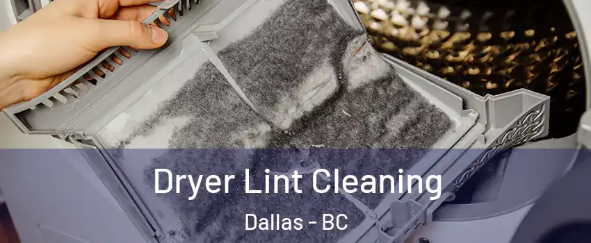  Dryer Lint Cleaning Dallas - BC