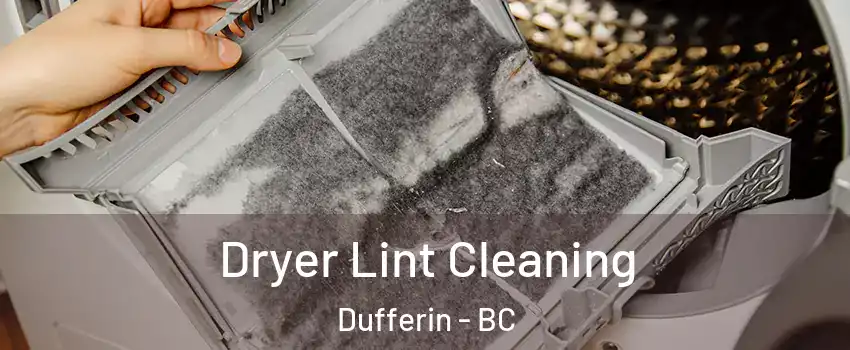  Dryer Lint Cleaning Dufferin - BC
