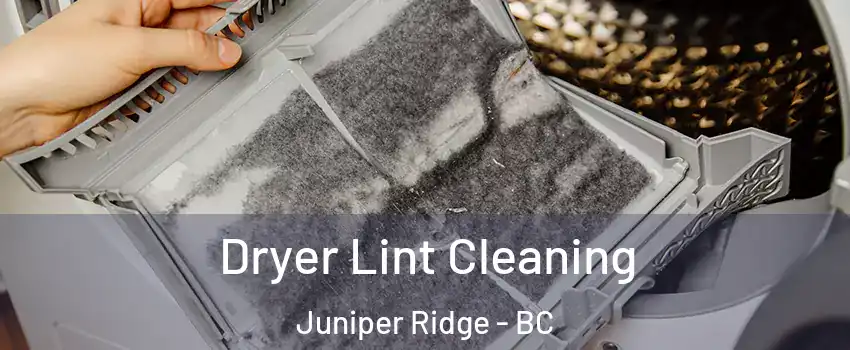  Dryer Lint Cleaning Juniper Ridge - BC
