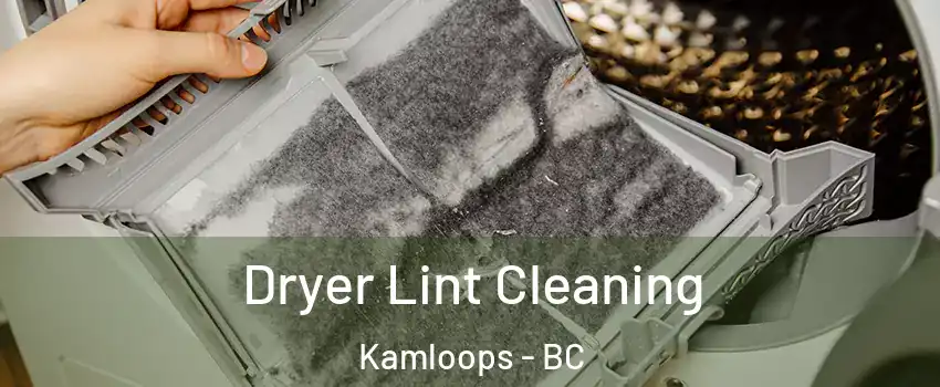  Dryer Lint Cleaning Kamloops - BC