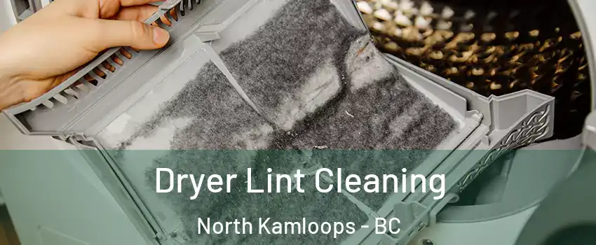  Dryer Lint Cleaning North Kamloops - BC