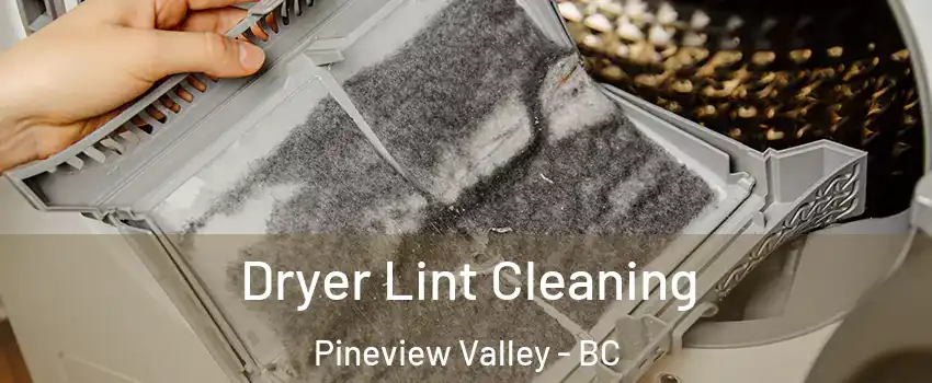  Dryer Lint Cleaning Pineview Valley - BC