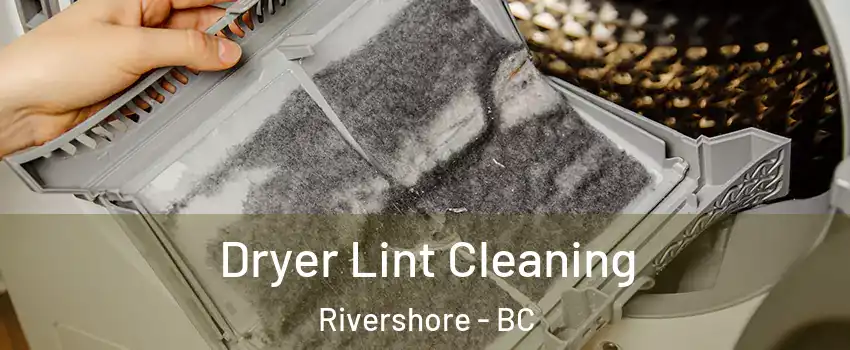  Dryer Lint Cleaning Rivershore - BC