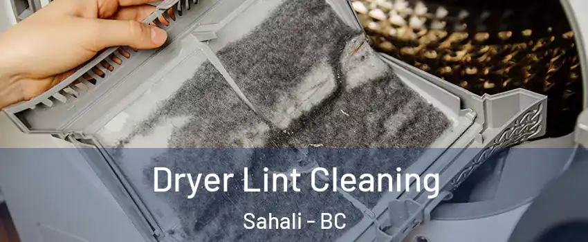  Dryer Lint Cleaning Sahali - BC