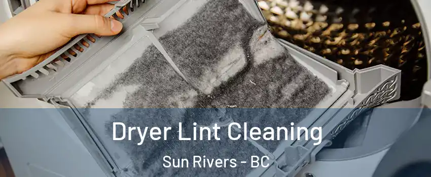  Dryer Lint Cleaning Sun Rivers - BC