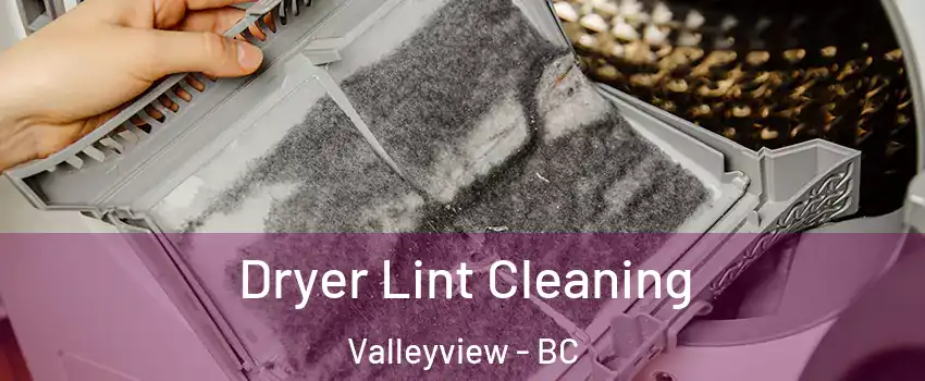  Dryer Lint Cleaning Valleyview - BC