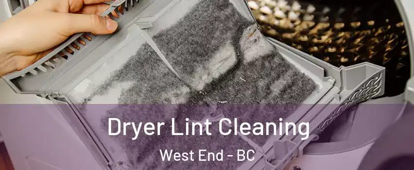  Dryer Lint Cleaning West End - BC