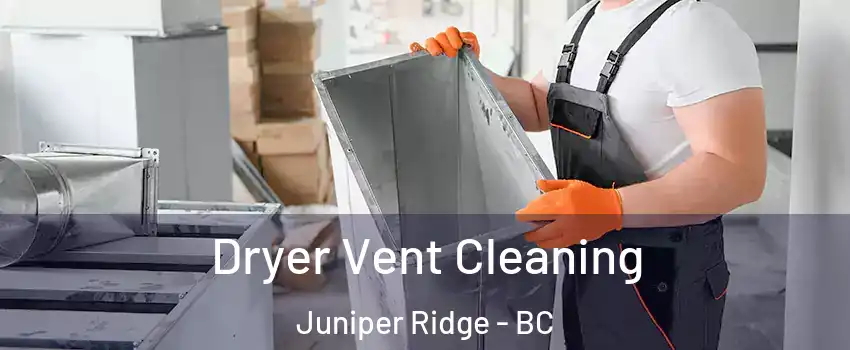  Dryer Vent Cleaning Juniper Ridge - BC