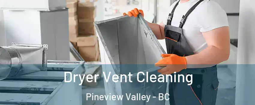  Dryer Vent Cleaning Pineview Valley - BC