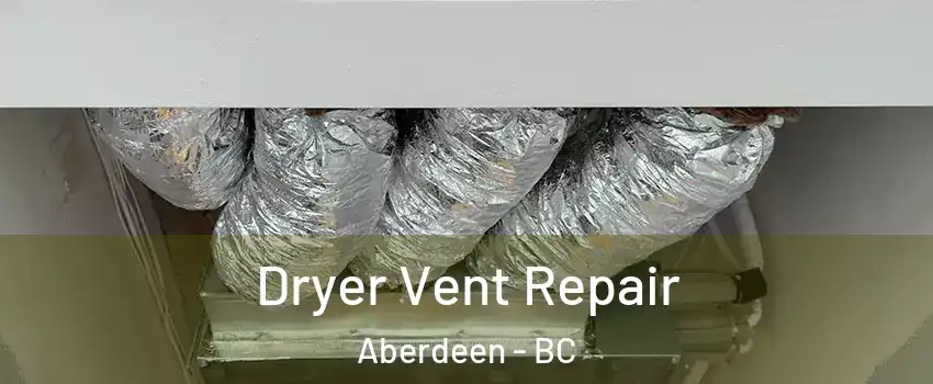 Dryer Vent Repair Aberdeen - BC
