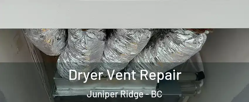  Dryer Vent Repair Juniper Ridge - BC