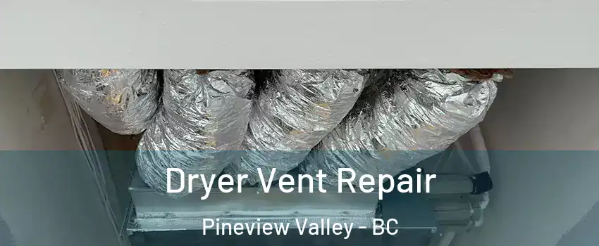  Dryer Vent Repair Pineview Valley - BC