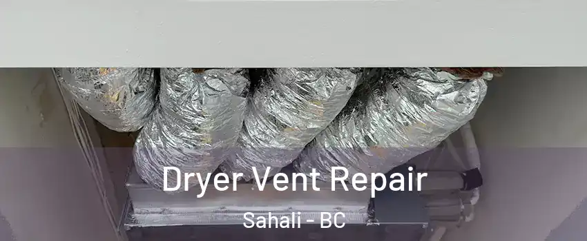  Dryer Vent Repair Sahali - BC