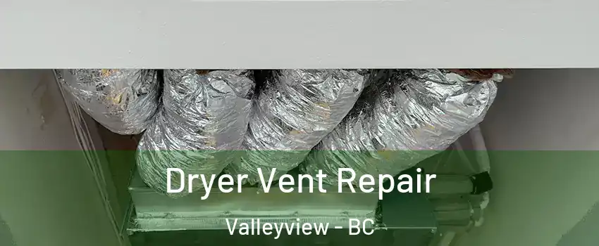  Dryer Vent Repair Valleyview - BC