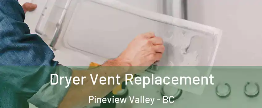  Dryer Vent Replacement Pineview Valley - BC