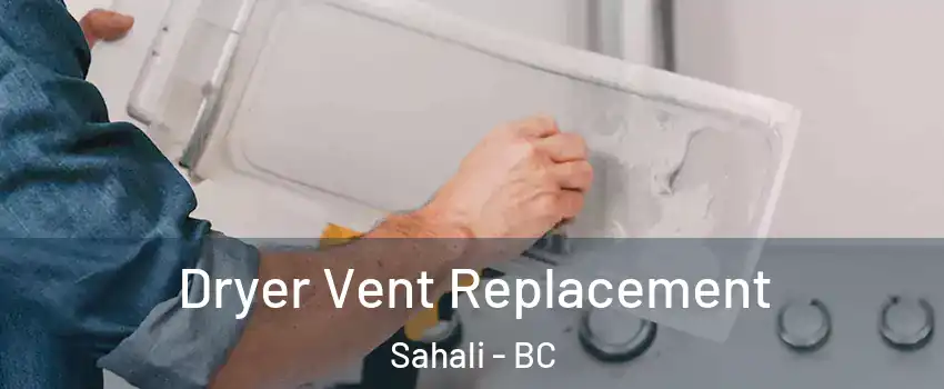  Dryer Vent Replacement Sahali - BC
