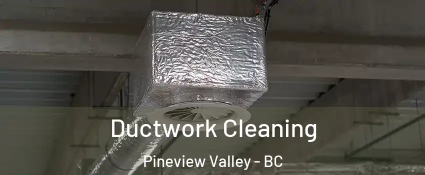  Ductwork Cleaning Pineview Valley - BC