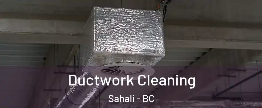  Ductwork Cleaning Sahali - BC