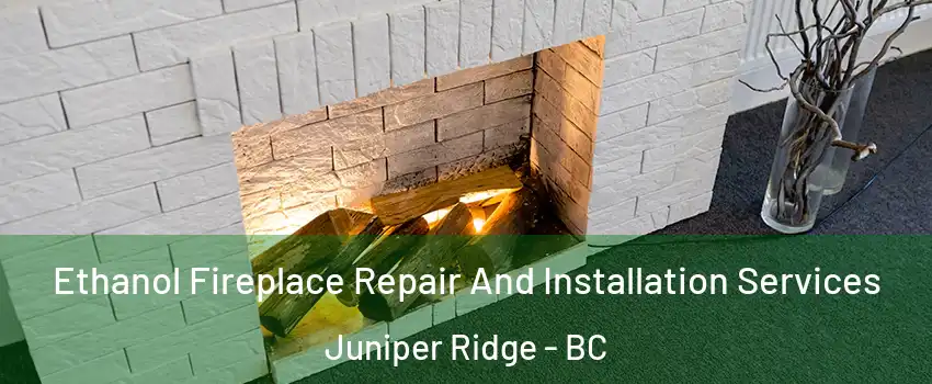  Ethanol Fireplace Repair And Installation Services Juniper Ridge - BC