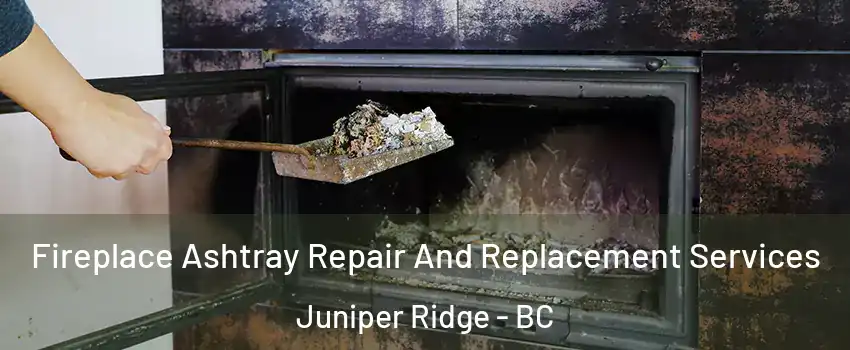  Fireplace Ashtray Repair And Replacement Services Juniper Ridge - BC