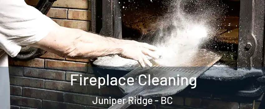 Fireplace Cleaning Juniper Ridge - BC