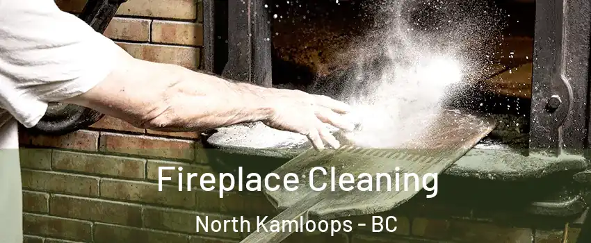  Fireplace Cleaning North Kamloops - BC