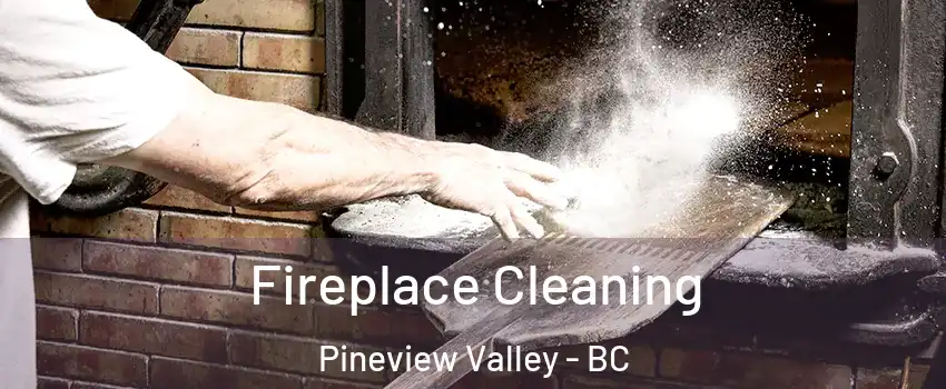  Fireplace Cleaning Pineview Valley - BC