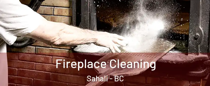  Fireplace Cleaning Sahali - BC