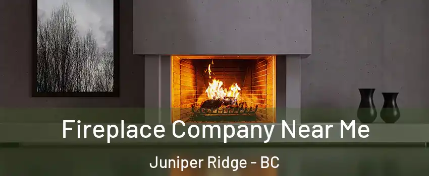 Fireplace Company Near Me Juniper Ridge - BC