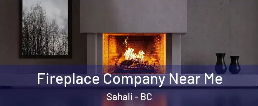  Fireplace Company Near Me Sahali - BC