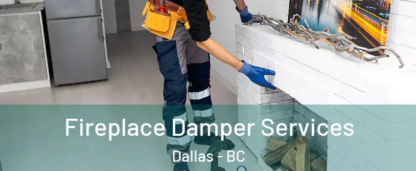  Fireplace Damper Services Dallas - BC