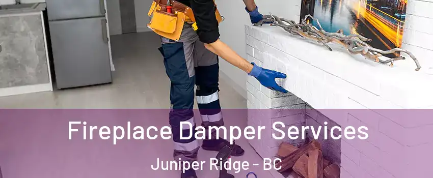 Fireplace Damper Services Juniper Ridge - BC