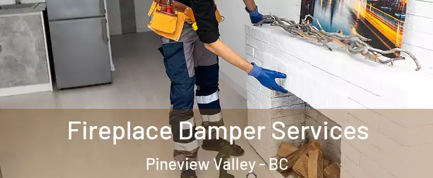 Fireplace Damper Services Pineview Valley - BC
