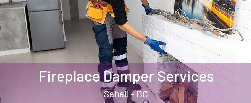  Fireplace Damper Services Sahali - BC