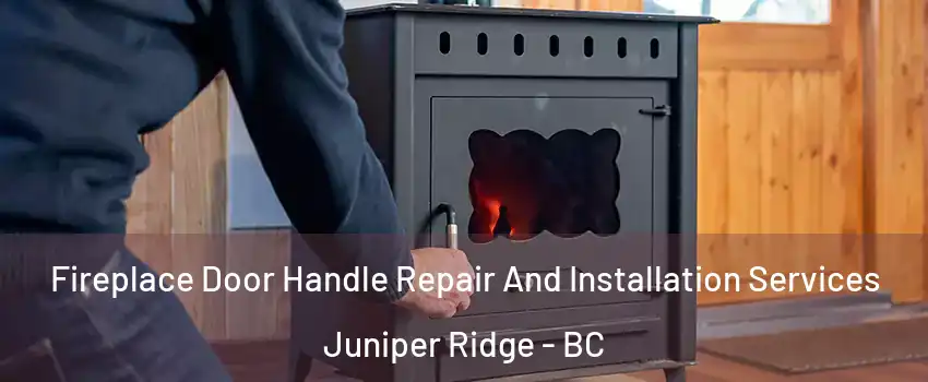 Fireplace Door Handle Repair And Installation Services Juniper Ridge - BC