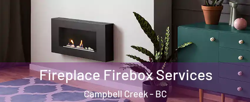  Fireplace Firebox Services Campbell Creek - BC