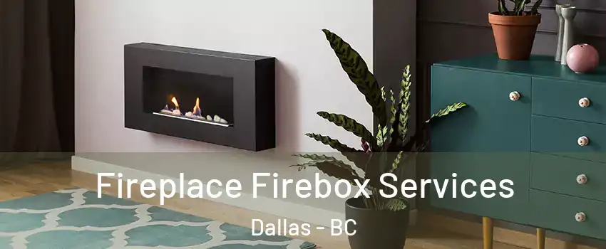  Fireplace Firebox Services Dallas - BC