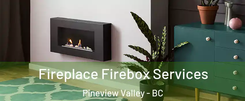  Fireplace Firebox Services Pineview Valley - BC