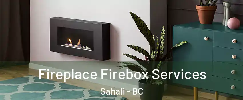  Fireplace Firebox Services Sahali - BC