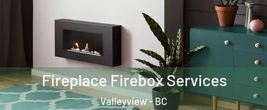  Fireplace Firebox Services Valleyview - BC