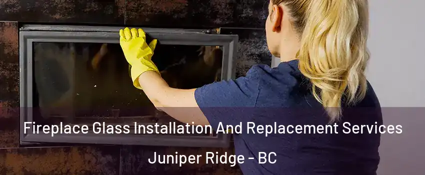 Fireplace Glass Installation And Replacement Services Juniper Ridge - BC