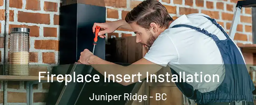  Fireplace Insert Installation Juniper Ridge - BC